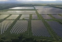 Япония введёт экологические гарантии для регулирования крупных солнечных проектов