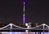 Работа Tokyo Skytree возобновится в четверг после 5-часовой остановки лифтов