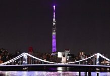 Работа Tokyo Skytree возобновится в четверг после 5-часовой остановки лифтов