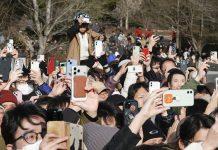 Короткая предвыборная кампания в Японии сделала социальные сети ключевой ареной борьбы за голоса