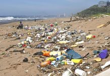 В марте Япония примет у себя неформальную международную конференцию по борьбе с пластиковым загрязнением