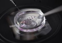 Япония намерена запретить генетически модифицированные эмбрионы, предназначенные для создания «детей по заказу»