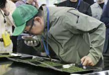 Чай из Сидзуоки продан на аукционе за рекордные 1,18 млн иен за кг