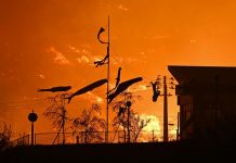 Лесные пожары вызвали эвакуацию более 1000 человек в Иватэ