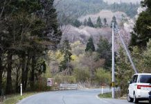 В Японии произошло первое в этом году смертельное нападение медведя