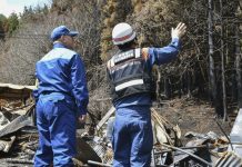 Лесной пожар на северо‑востоке Японии взят под контроль после 11 дней тушения